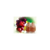 Water soluble grape seed extract 