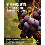 Grape Seed Extract