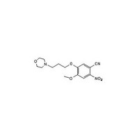 4-methoxy-5-(3-morpholinopropoxy)-2-nitrobenzonitrile