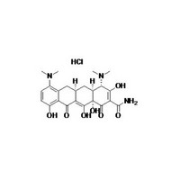 Minocycline Hydrochloride 