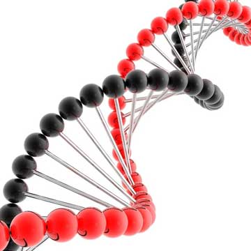 Recombinant Human Interferon Alfa 2a API