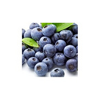 European Bilberry Extract 