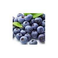 European Bilberry Extract 