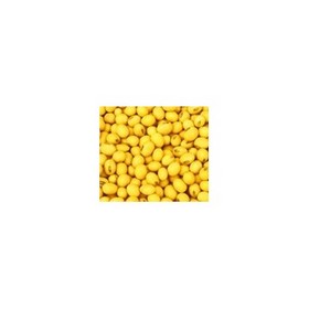 Soybean Extract 