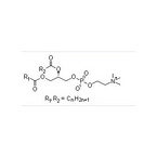 Soy bean phospholipid (98%)