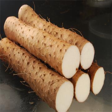 Wild Yam Extract