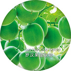Go-Luo?（Monk-Fruit-Extract）