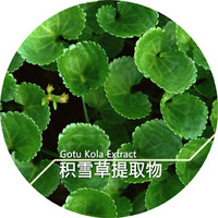 Gotu Kola Extract