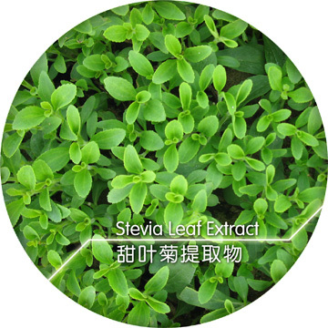 Azevia®（stevia-Leaf）