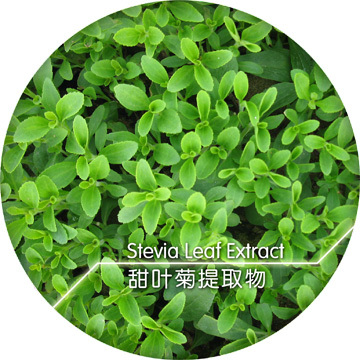 Azevia?（stevia-Leaf）