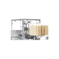 ZX120 Case Packing Machine