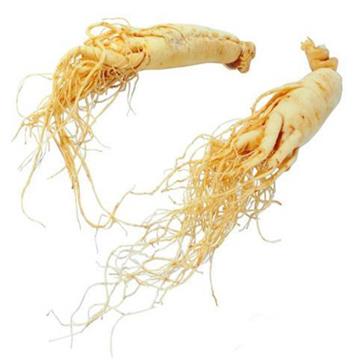 Ginseng Extract