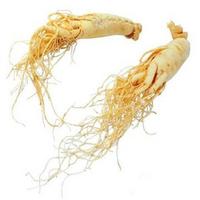 Ginseng Extract