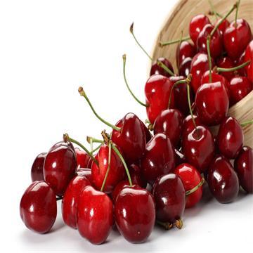 Cherry Extract