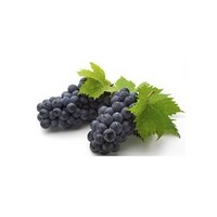 Grape Seed Extract   