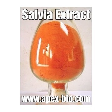 Salvia Miltiorrhiza Root Extract