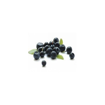 Acai Berry Extract