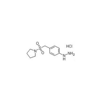 4-(1-Pyrrolidinylsulforylmenthyl)phenylhydrazine hydrochloride