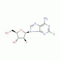 clofarabine