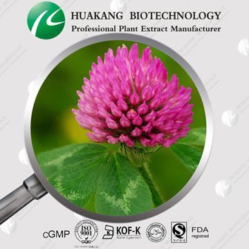 Fast delivery & low price Red Clover Extract powder