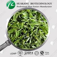 High Quality Green Tea Extract, EGCG powder