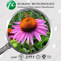 Factory supply Echinacea Extract