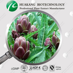 100% Natural Cynarin Artichoke Extract, Artichoke Leaf Extract