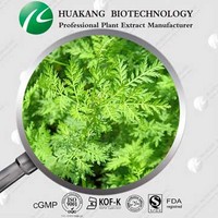 100% natural Artemisia annua extract plant extract powder 
