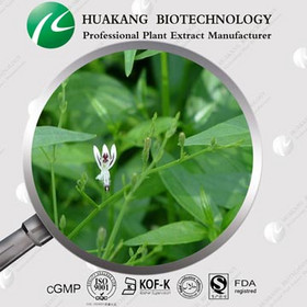 Supply Andrographis Paniculate Extract/Andrographis Paniculate Extract Powder 