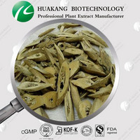 100% Natural Ashwagandha Extract with 1.5%- 5% Withanolides 