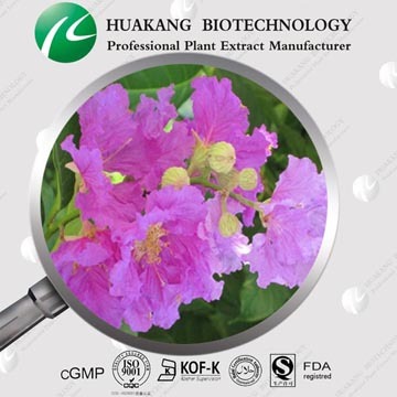 Pure ntural banaba leaf extract corosolic acid 