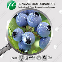 Blueberry Extract 25% Anthocyanidins