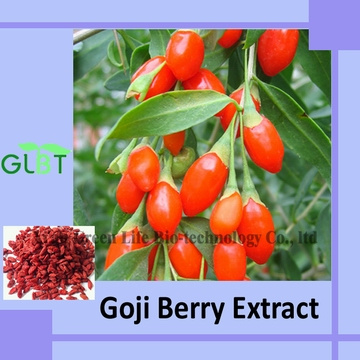 Goji Berry Extract