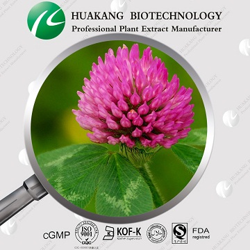 Red Clover Extract,:Isoflavones 8%,20%,40,42%,45% 