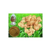 Ginger root extract