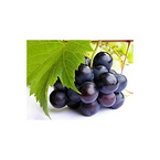 Grape seed extract