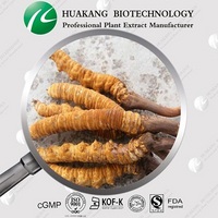 Cordyceps Sinensis Extract, 30% Polysacchrides,7-10%Cordycep Acid  0.25-0.5% adenosine