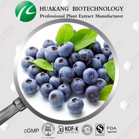 Blueberry Powder/Extract