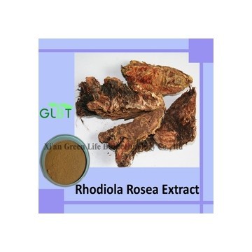 Rhodiola rosea extract