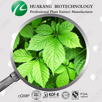 Gynostemma Extract Gypenosides 40%~98%