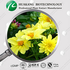 Passion Flower Extract