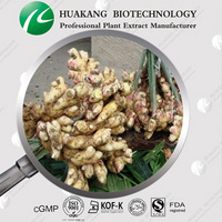 100% nature Ginger Extract