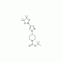 1-(N-Boc-piperidine-4-ly)-boronic acid pinacol ester