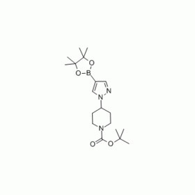 1-(N-Boc-piperidine-4-ly)-boronic acid pinacol ester