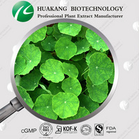 100% natural  Gotu Kola Extract