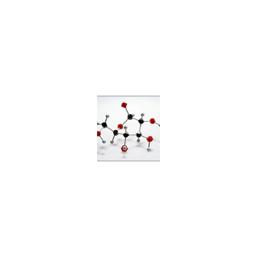 Xylanase