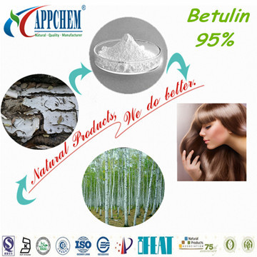 Betulin from Appchem