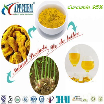  Curcumin 95% powder