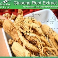 Panax Ginseng Root Extract