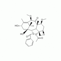 Cabazitaxel; 7β, 10β-Dimethoxydocetaxel